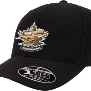 FlexFit 110 Adjustable Cap